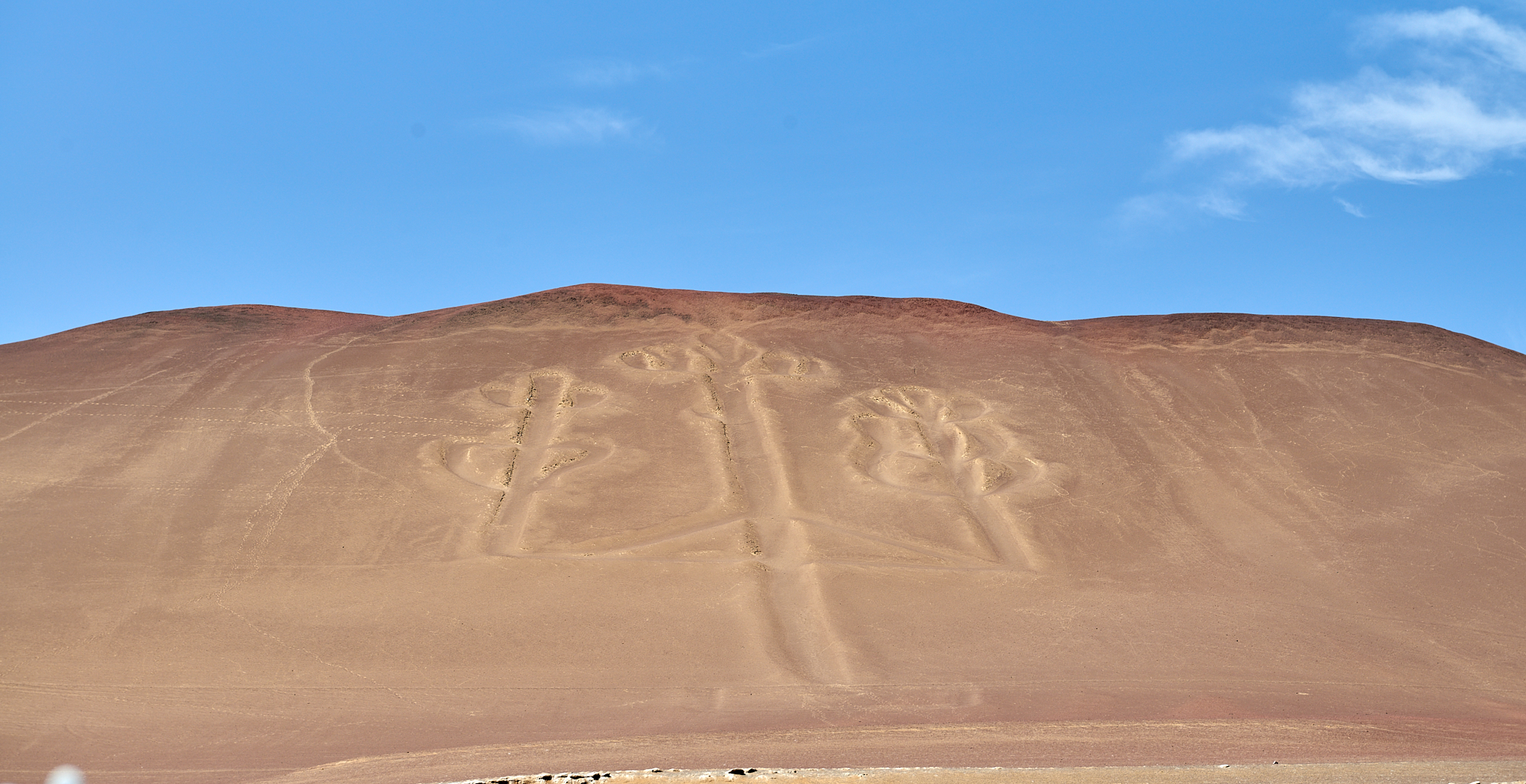 20200304 099 [페루] 바예스타섬